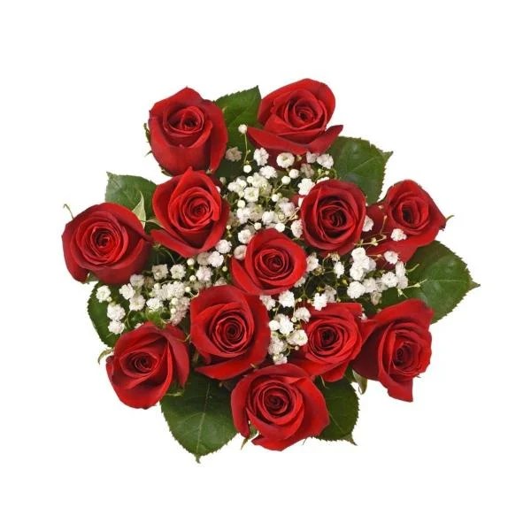 Does Food Lion Carry Flowers Best Flower Site