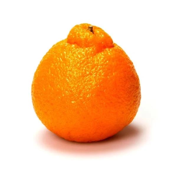Save on SUMO Citrus Mandarin Order Online Delivery Stop & Shop