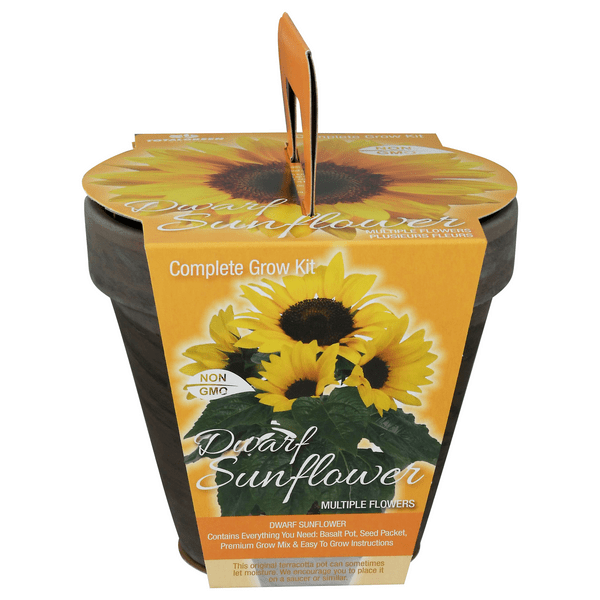 Save on TotalGreen Dwarf Sunflower Complete Grow Kit Order Online
