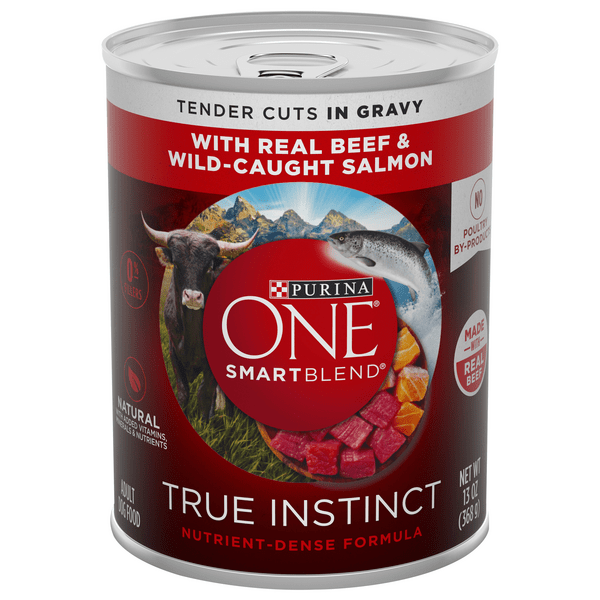 Save on Purina ONE True Instinct Tender Cuts Beef & Salmon Adult Wet