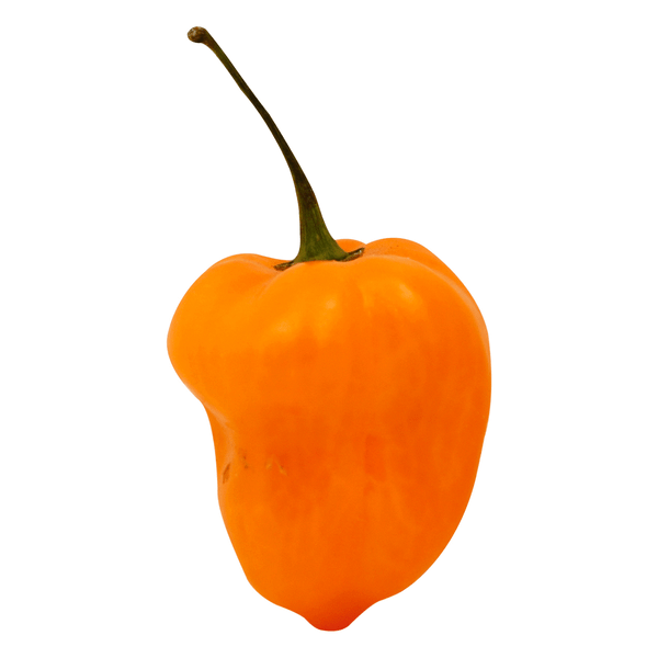 Save on Habanero Peppers Order Online Delivery Food Lion