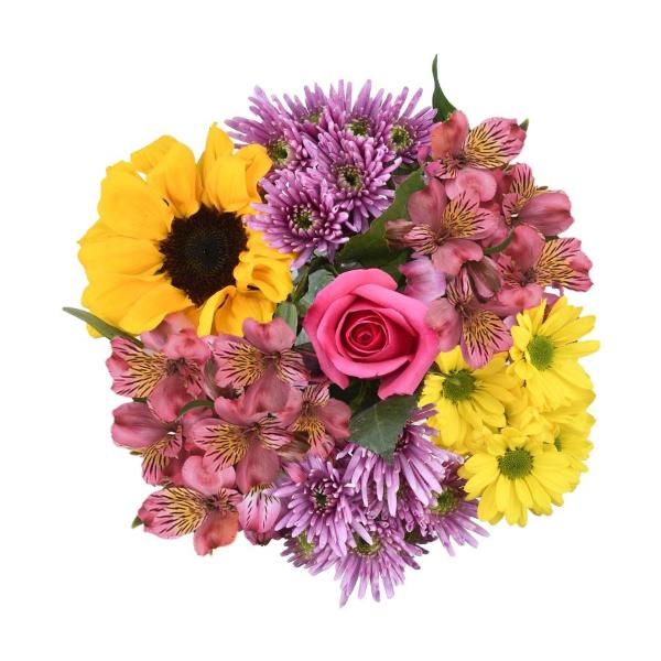 Does Food Lion Carry Flowers Best Flower Site