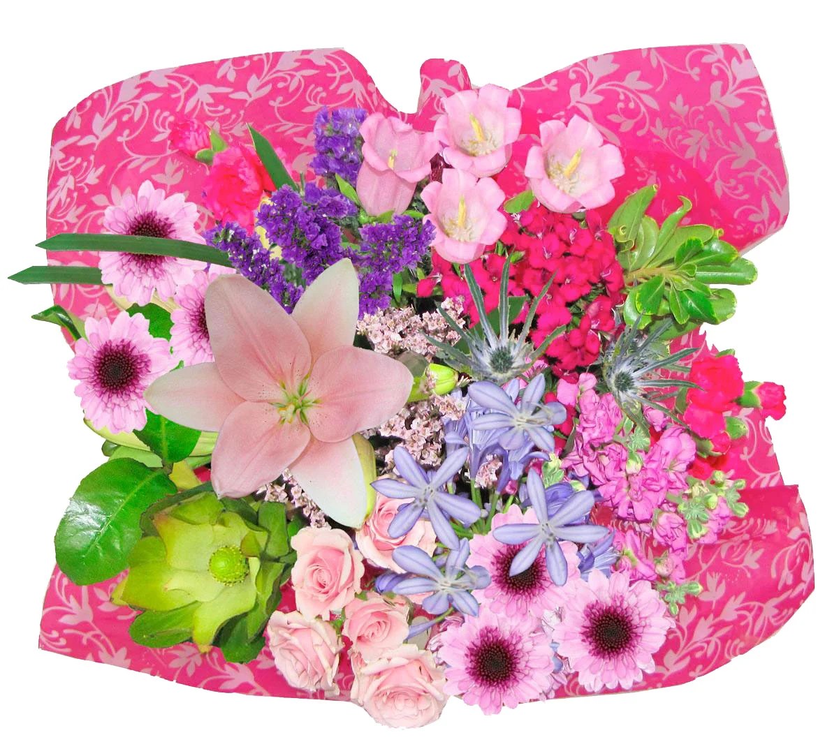 Does Food Lion Carry Flowers Best Flower Site