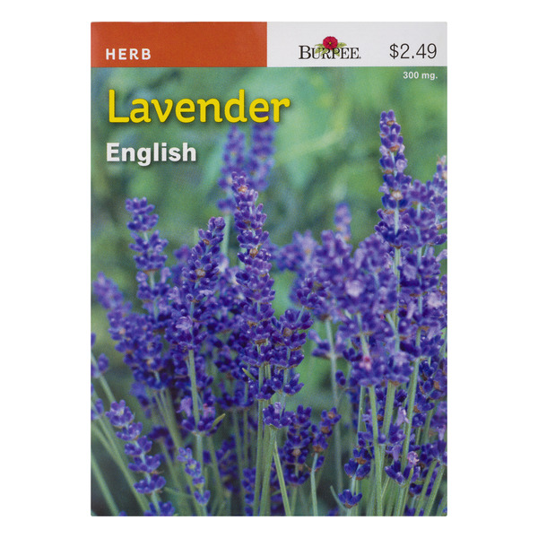 Save on Burpee Herb Lavender English Order Online Delivery Food Lion