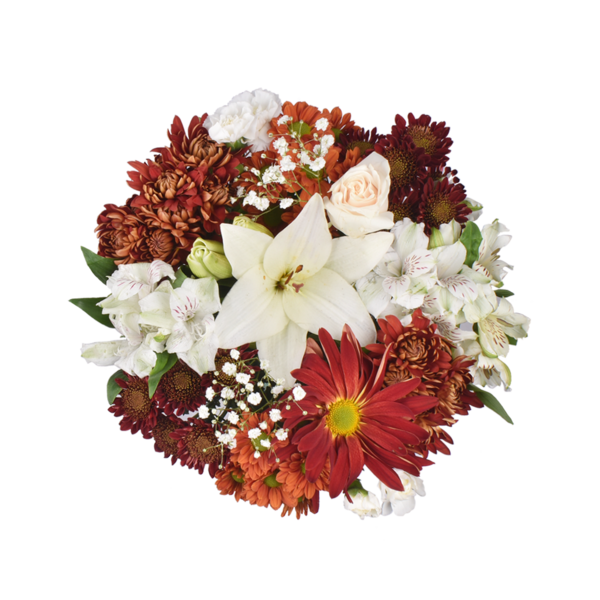 Save on Cappuccino Bouquet Order Online Delivery Stop & Shop