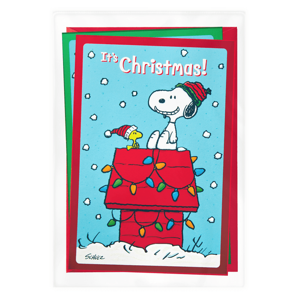 Save on Hallmark Peanuts Christmas Cards Snoopy & Woodstock Order
