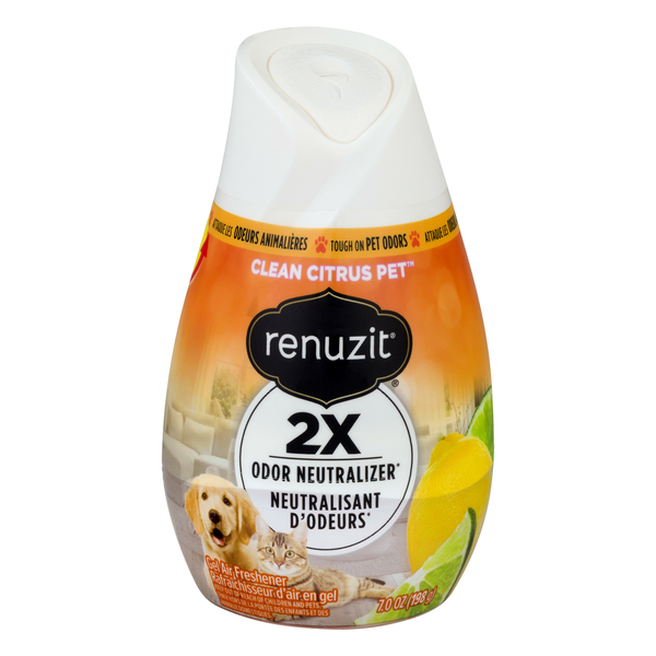 Save on Renuzit Gel Air Freshener 2X Odor Neutralizer Clean Citrus