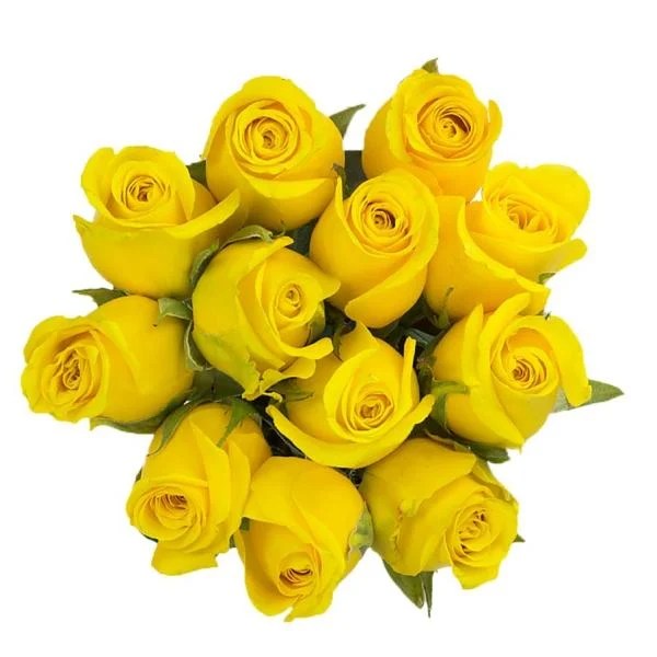 Save on Roses Bunch Yellow Order Online Delivery MARTIN'S