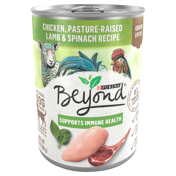 Save on Beyond Natural Ground Chicken Lamb & Spinach Recipe Entree Wet