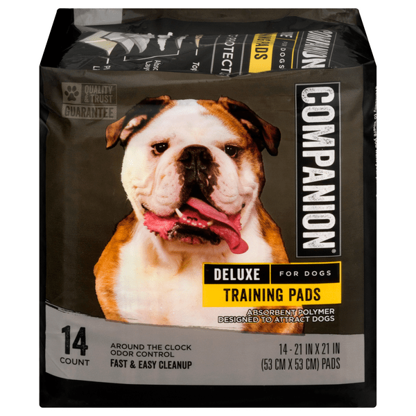 Save on Companion Deluxe Training Pads for Dogs Order Online Delivery