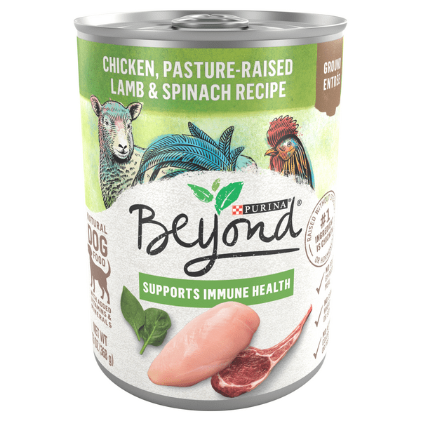 Save on Beyond Wet Dog Food Chicken Lamb & Spinach Recipe Grain Free