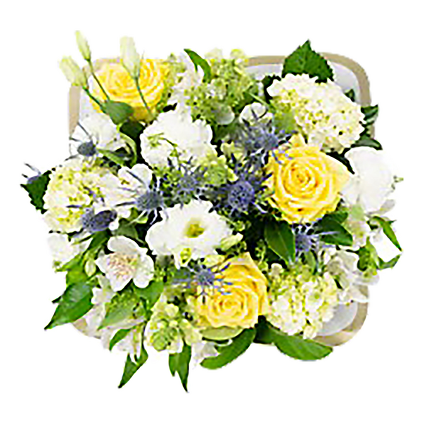 Does Food Lion Carry Flowers Best Flower Site