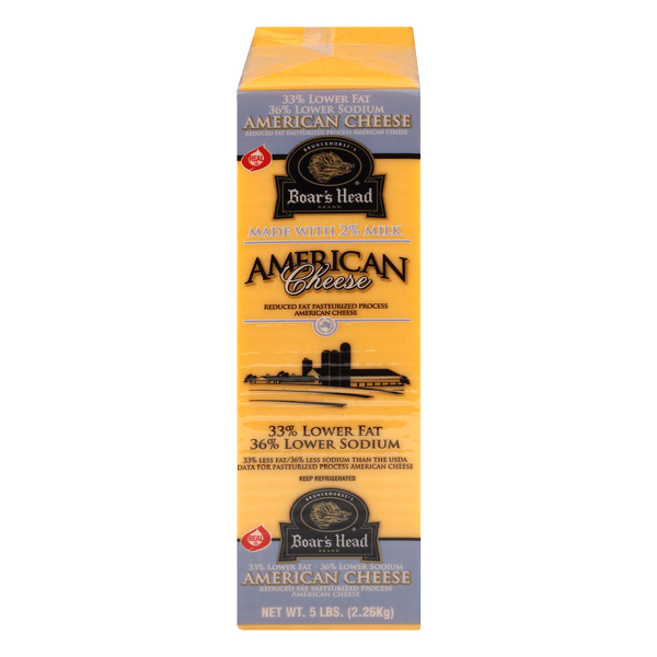 How Much Sodium In A Slice Of American Cheese MeaningKosh