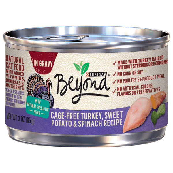 Save on Beyond Wet Cat Food Turkey Sweet Potato & Spinach Grain Free