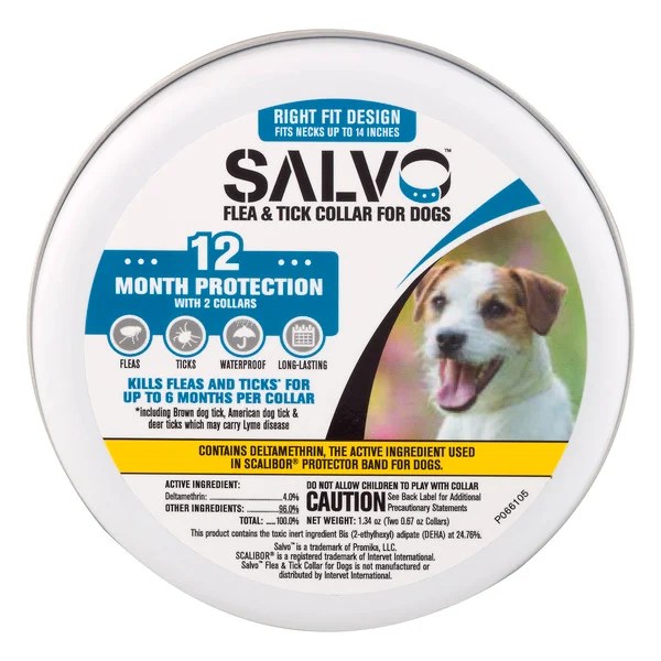 Are Flea And Tick Collars Bad For Dogs