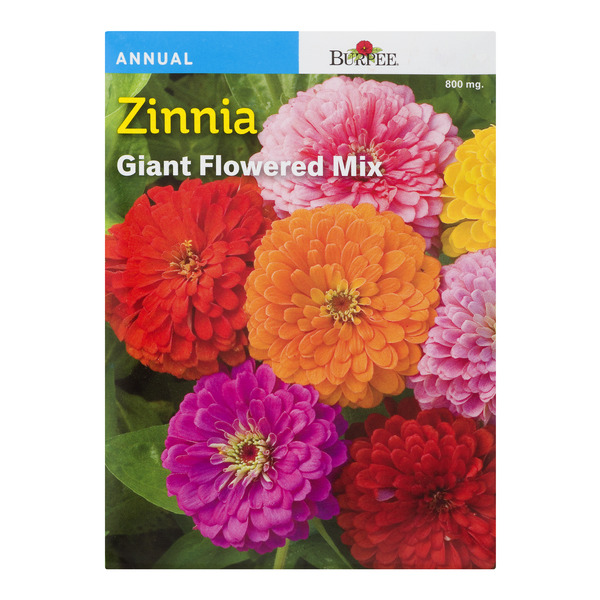 Save on Burpee Annual Zinnia Giant Flowered Mix Order Online Delivery