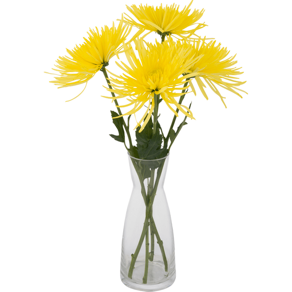 Giant Food Flowers Mill Best Flower Site