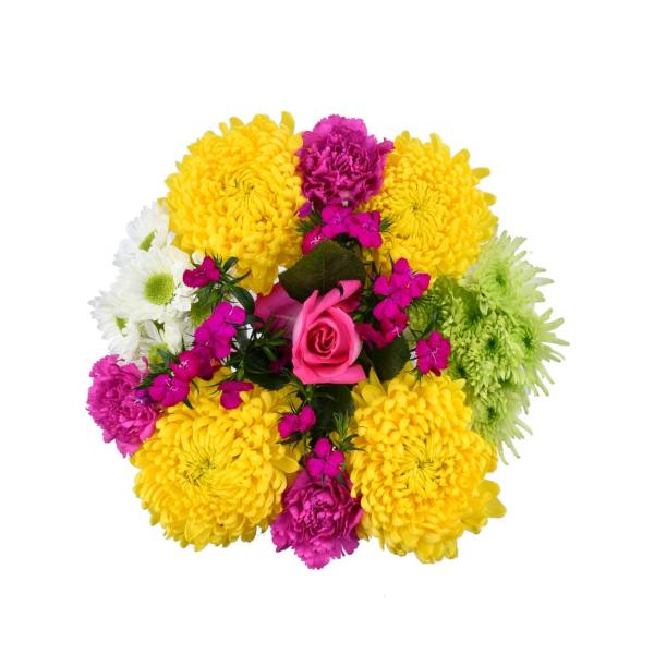 Does Food Lion Carry Flowers Best Flower Site