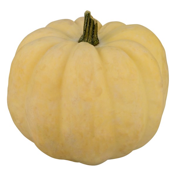 Save on White Acorn Squash Order Online Delivery Giant