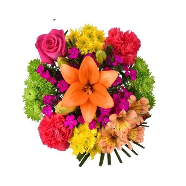 Does Food Lion Carry Flowers Best Flower Site