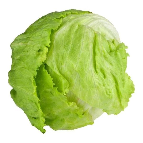 Butterhead Lettuce Nutrition