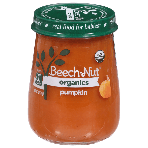 Save on BeechNut Organics Stage 1 Baby Food Pumpkin Order Online
