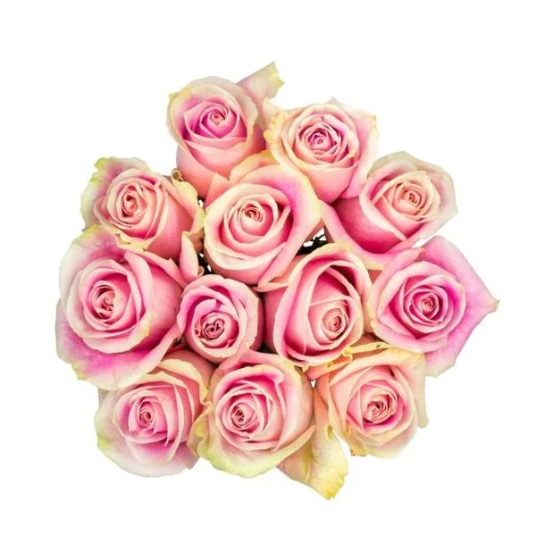 Save on Roses Bunch Light Pink Order Online Delivery Stop & Shop