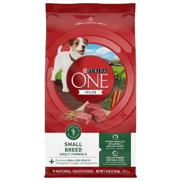 Do Small Dogs Need Small Dog Food