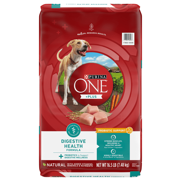 Save on Purina ONE +Plus Digestive Health Adult Dry Dog Food Natural