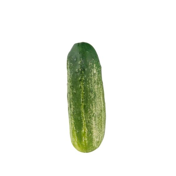 Cucumbers Order Online & Save Food Lion