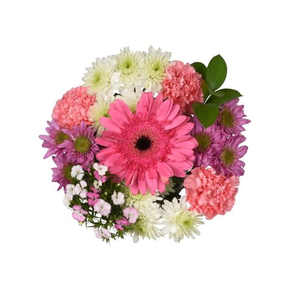 Save on Medley Bouquet Order Online Delivery Food Lion
