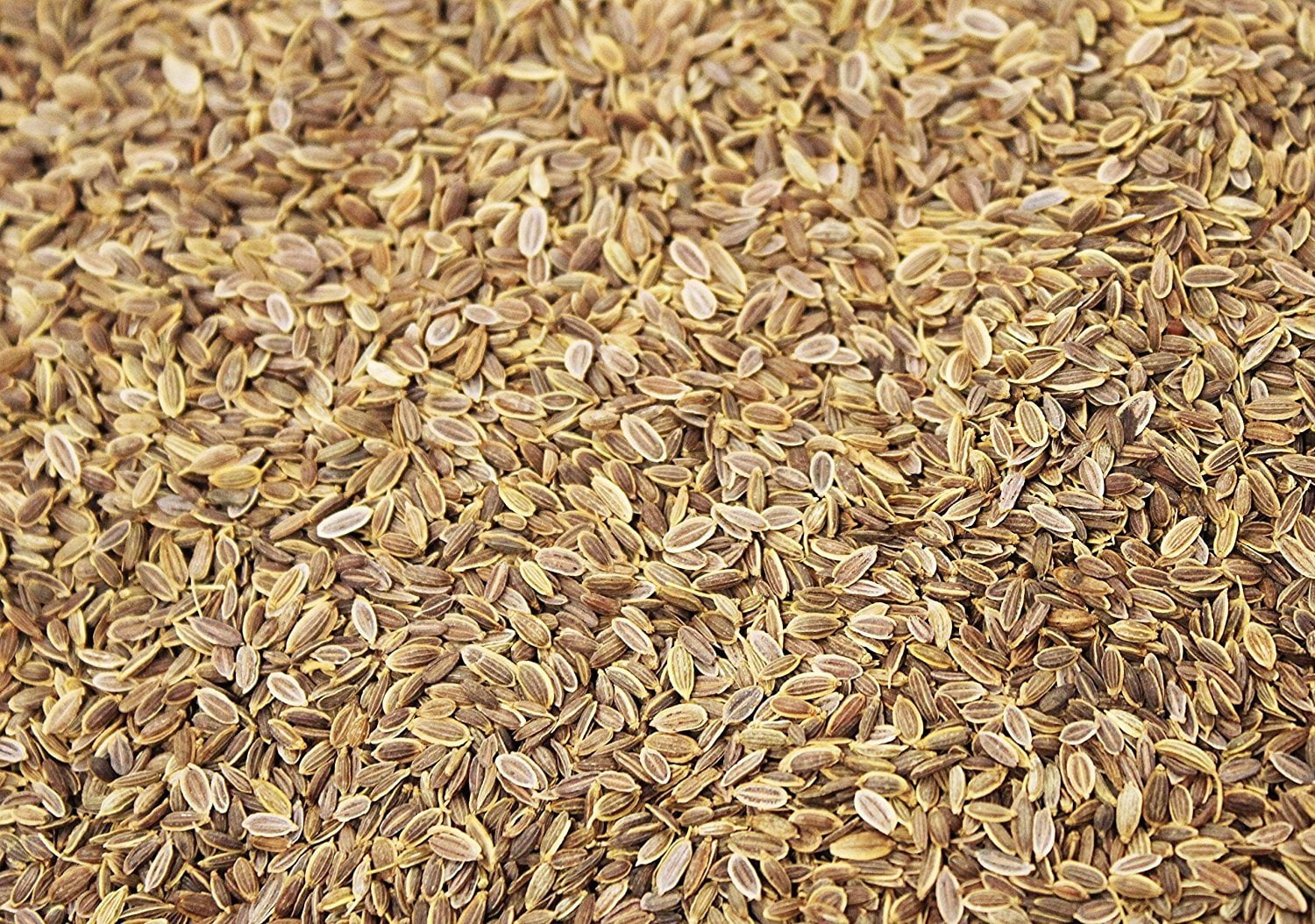 Whole Dill Seeds by Its Delish, 10 lbs bulk