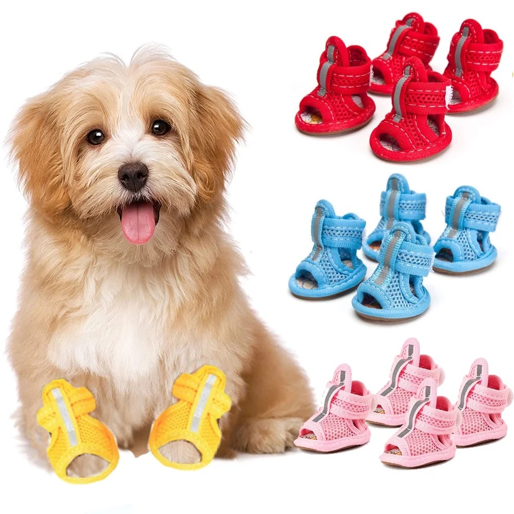 Are Dog Shoes Good For Dogs