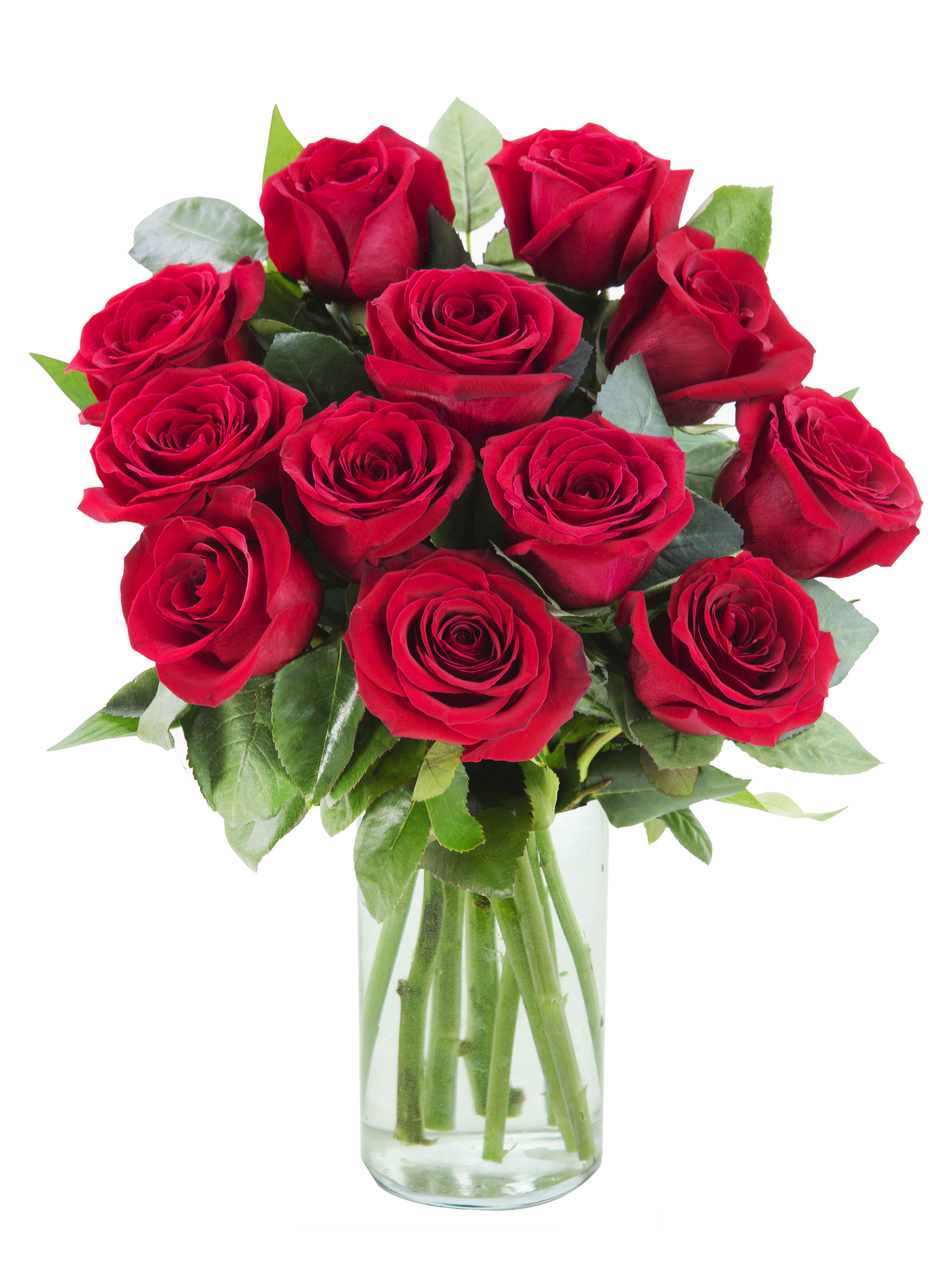 Arabella Farm Direct Bouquet of 12 Fresh Cut Red Roses With Vase