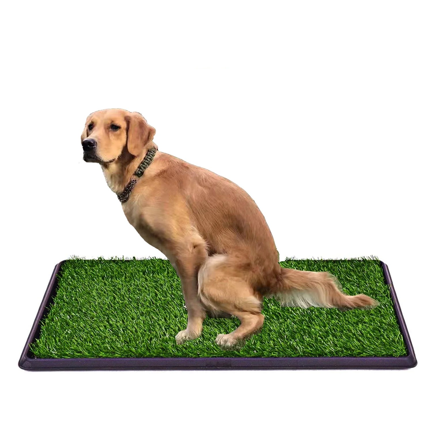 LOMANTOWN Fake Grass Dog Potty Pad Portable Dog Turf Trainer Grass with