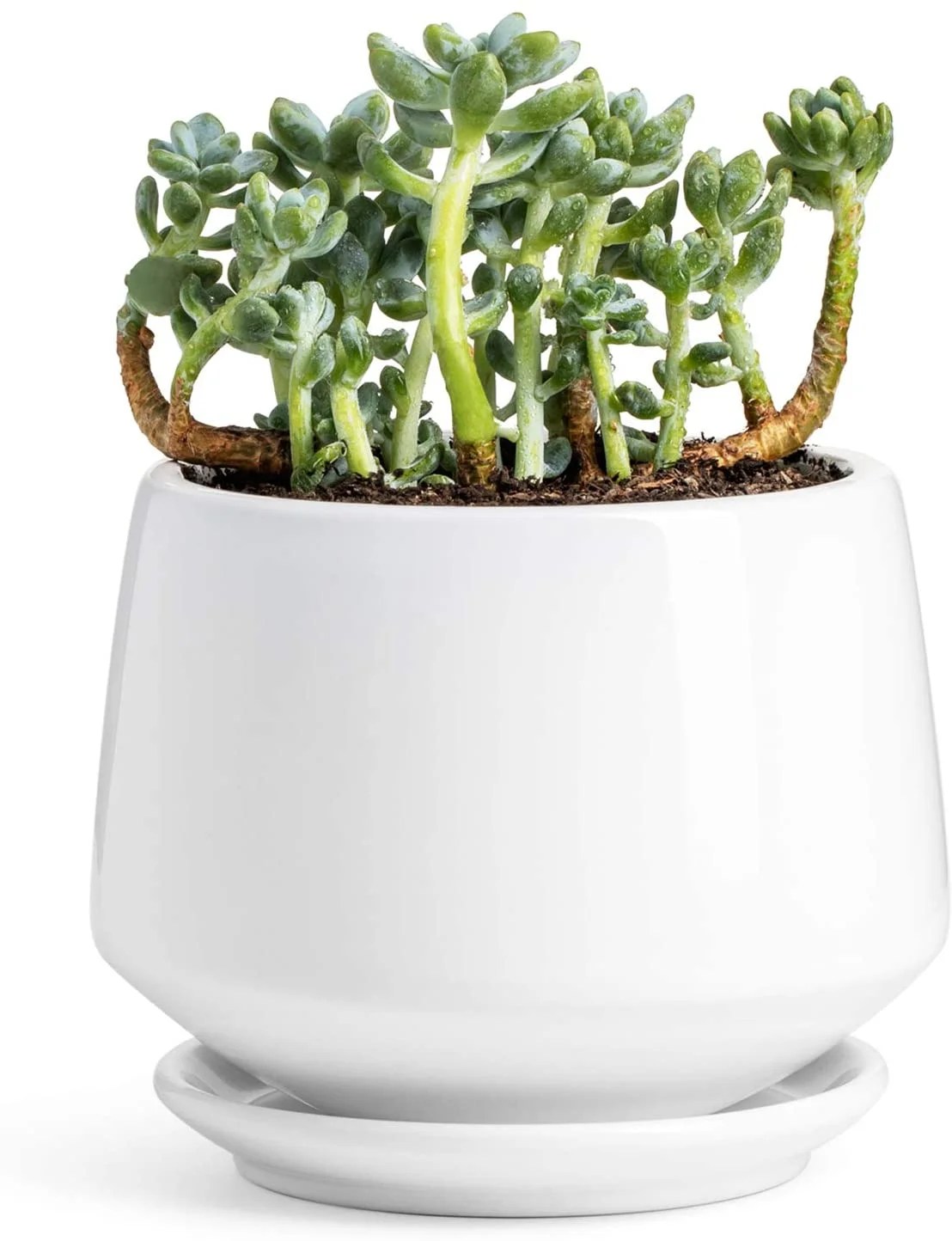 Ready To Ship MEDIUM WHITE PLANTER handmade pottery plant pot with