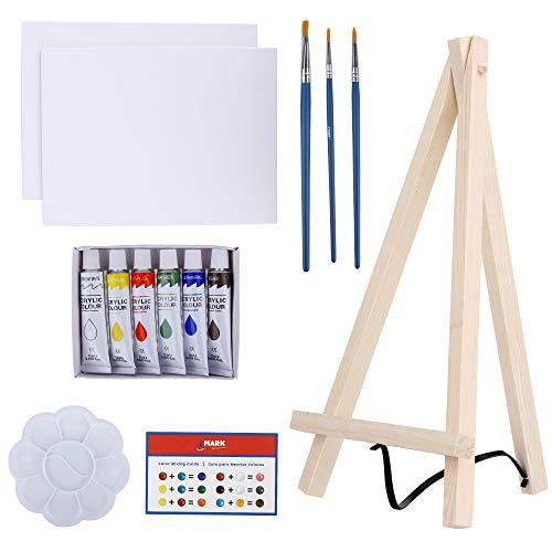 Art Canvas Paint Set Supplies 14Piece Mini Canvas Acrylic Painting