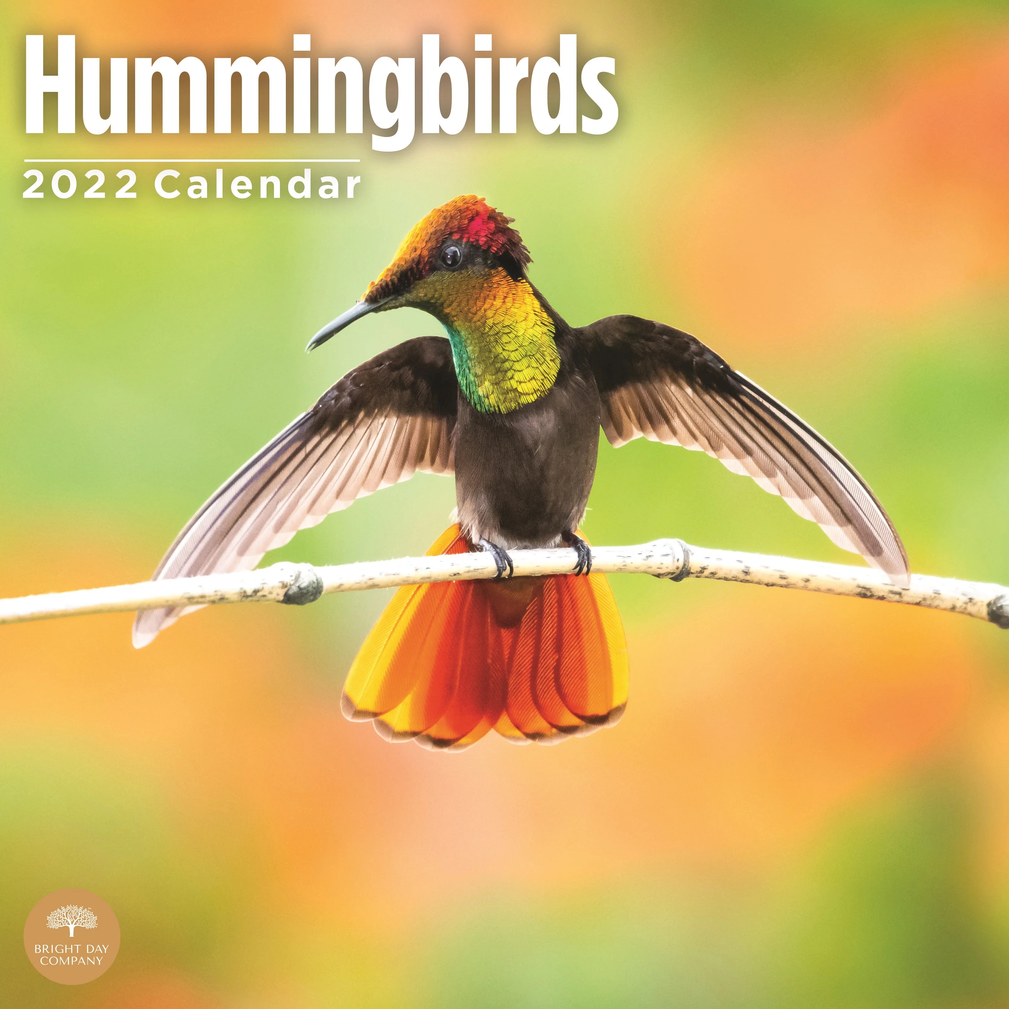 Happy National Hummingbird Day! 2023 Bright Day Calendars, 2022 Hummingbirds Wall Calendar, 12" X 12" - Walmart.com