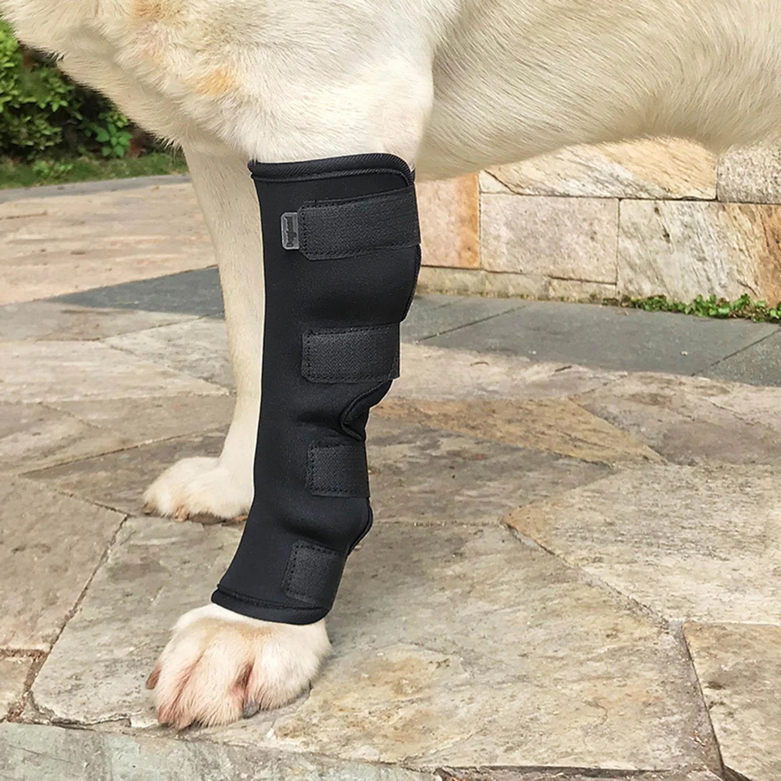 Dog Support Leg , Pet Elbow Knee Pad Flexible Leg Compression Wrap