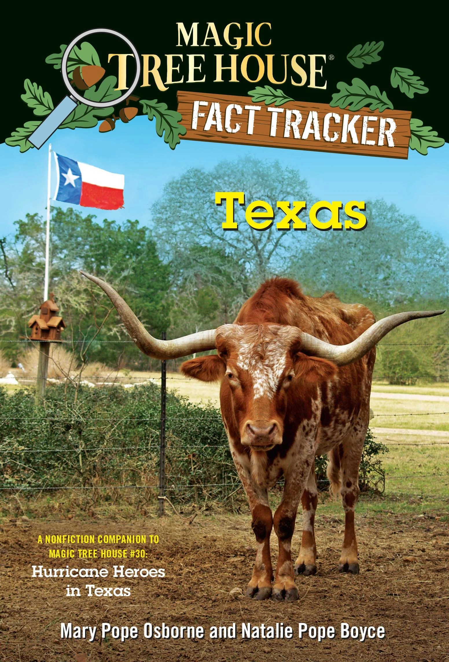 Texas A Nonfiction Companion to Magic Tree House 30 Hurricane Heroes
