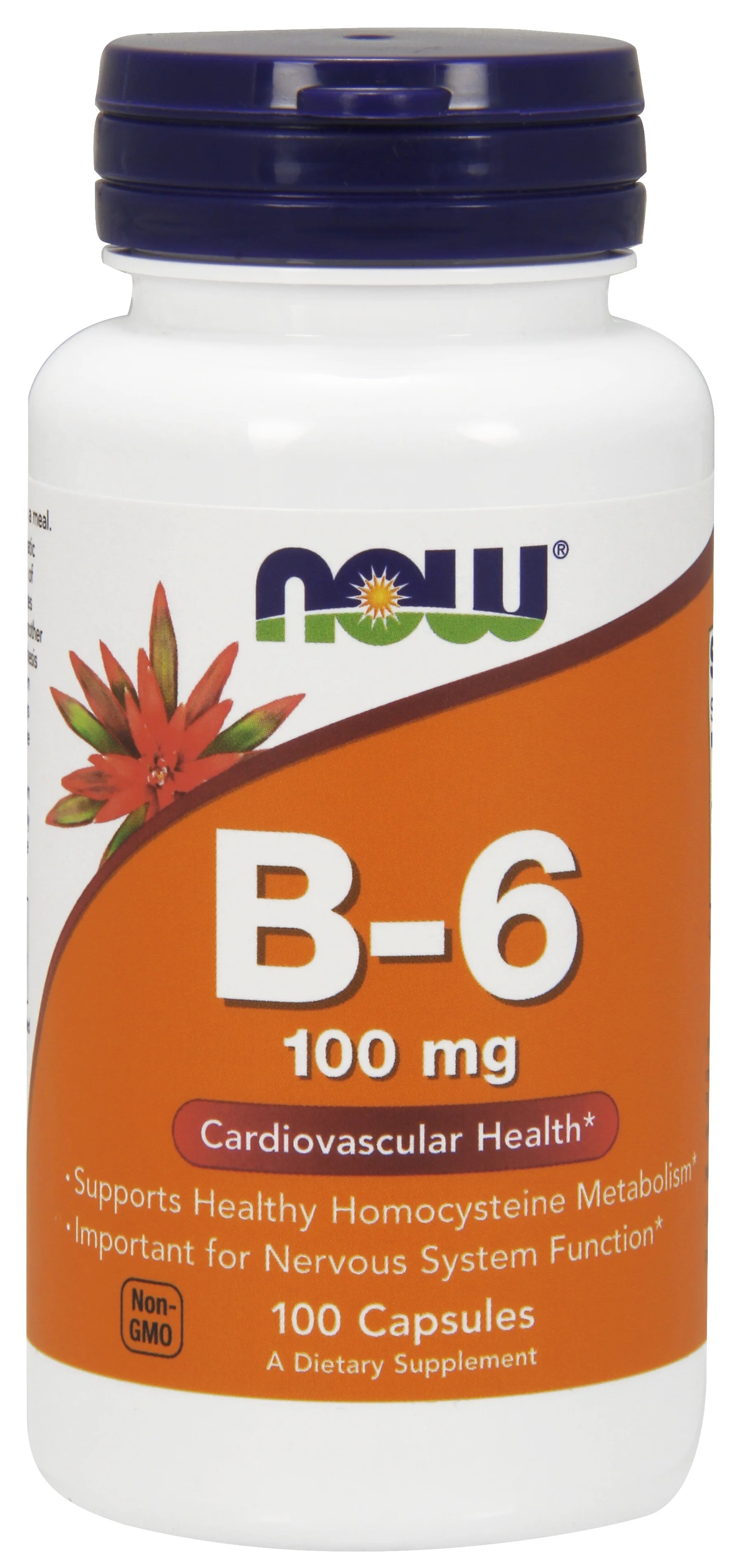 NOW Supplements, Vitamin B6 (Pyridoxine HCl) 100 mg, Cardiovascular