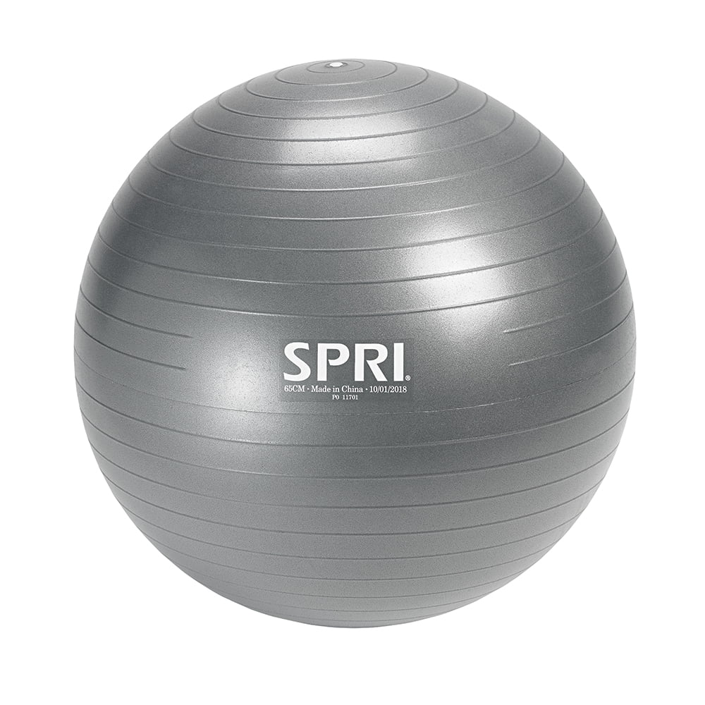 SPRI Weighted Stability Exercise Ball, 65CM, Grey SPRI Weighted Stability Exercise Ball, 65CM, Grey