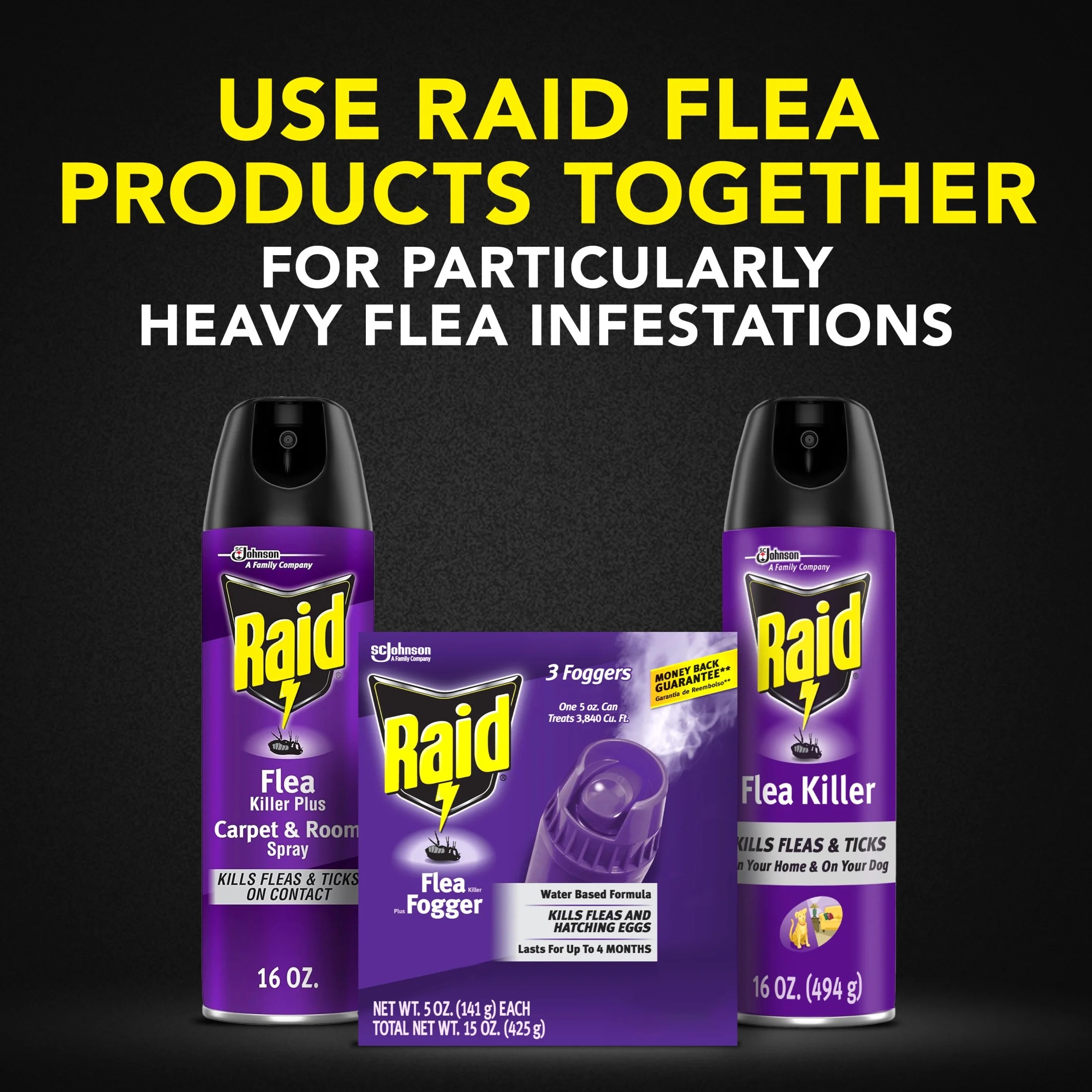 Raid Flea Killer Plus Carpet & Room Spray 16 oz Jordan Ubuy