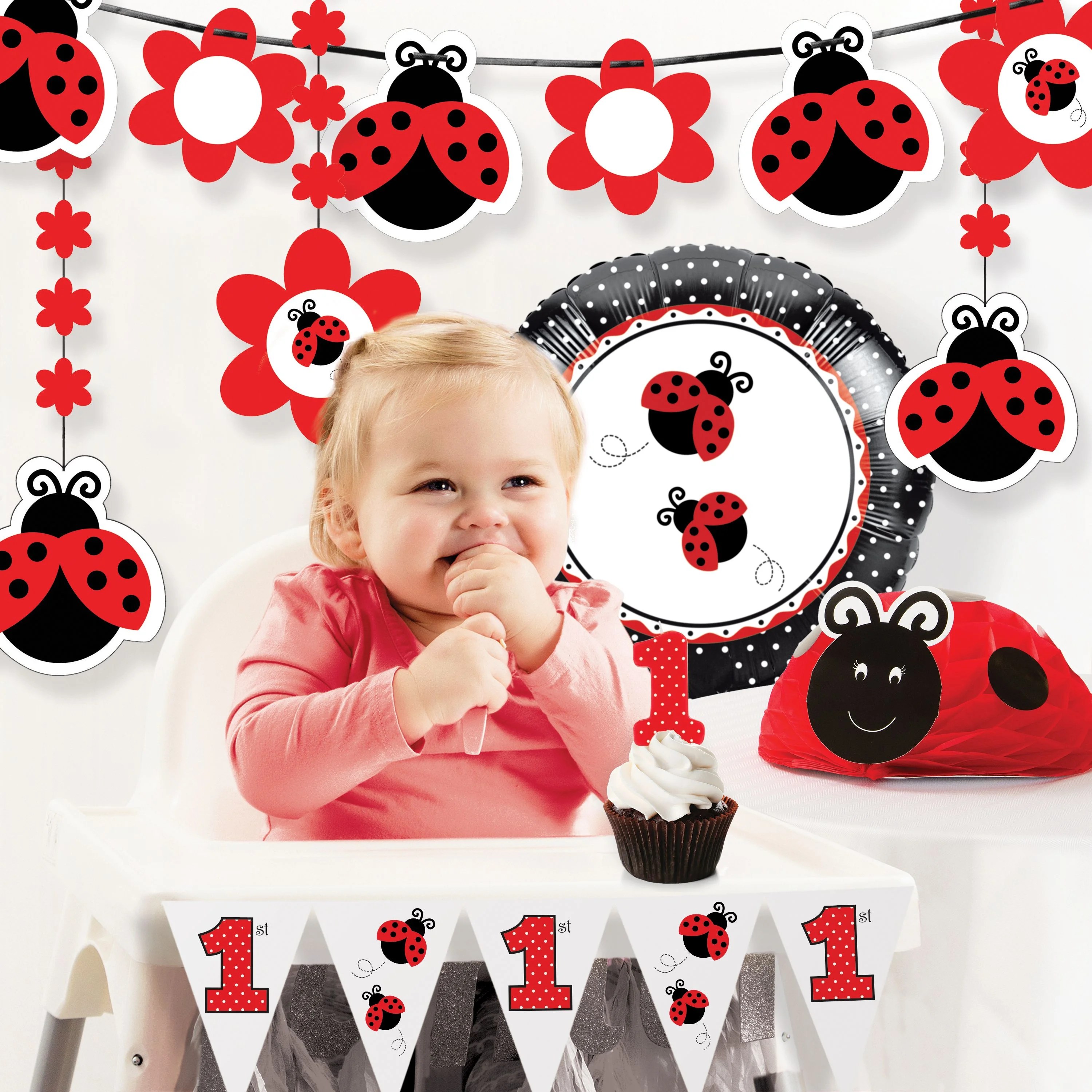Ladybug Fancy 1st Birthday Party Decorations Kit