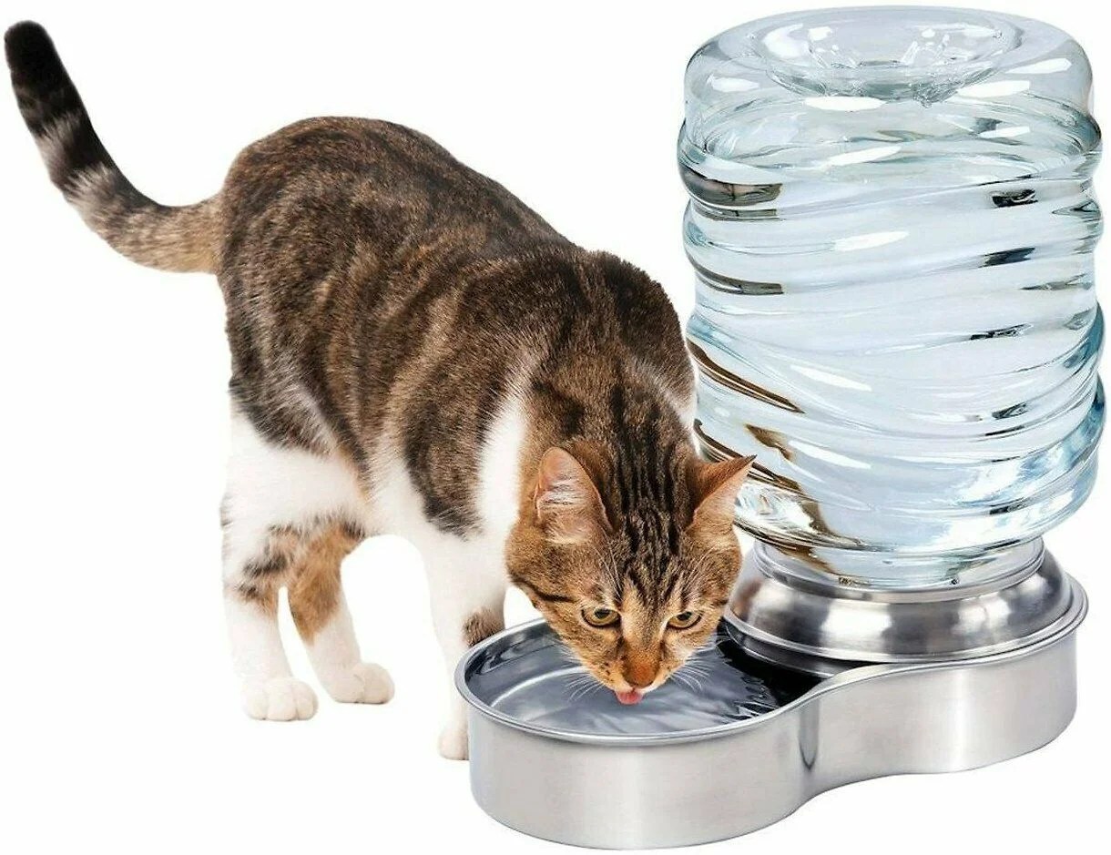 Pet Water Fountain for Dog Cat Stainless Steel Bowl Automatic Gravity Water Dispenser Walmart