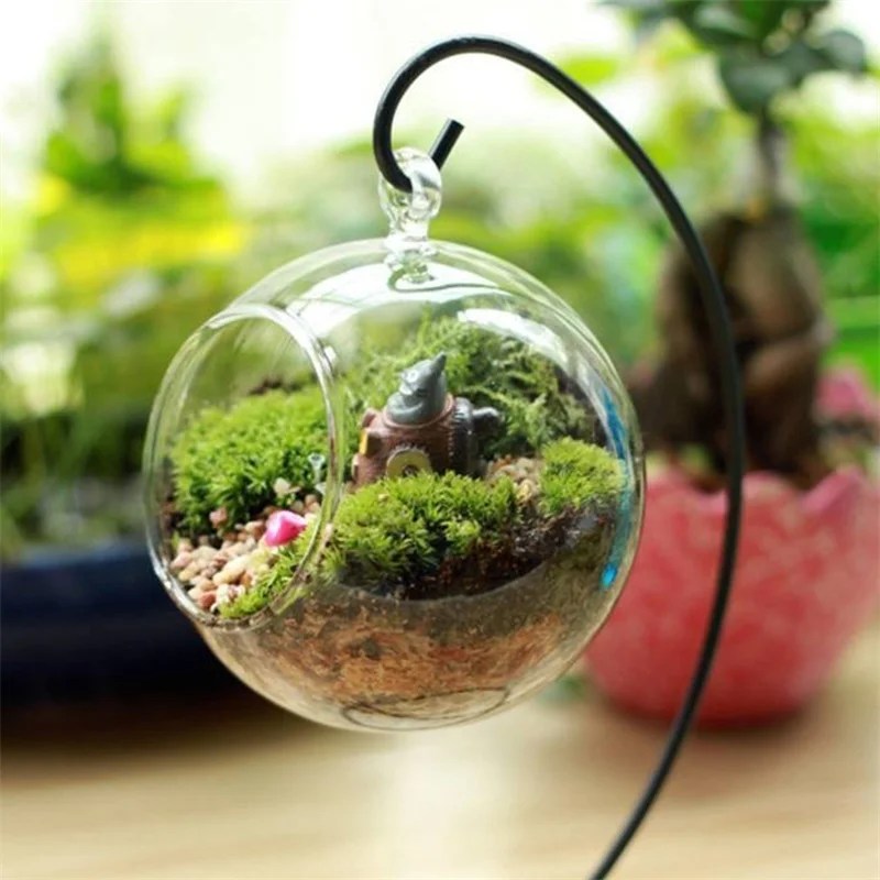 Creative Clear Glass Ball Vase Micro Landscape Air Plant