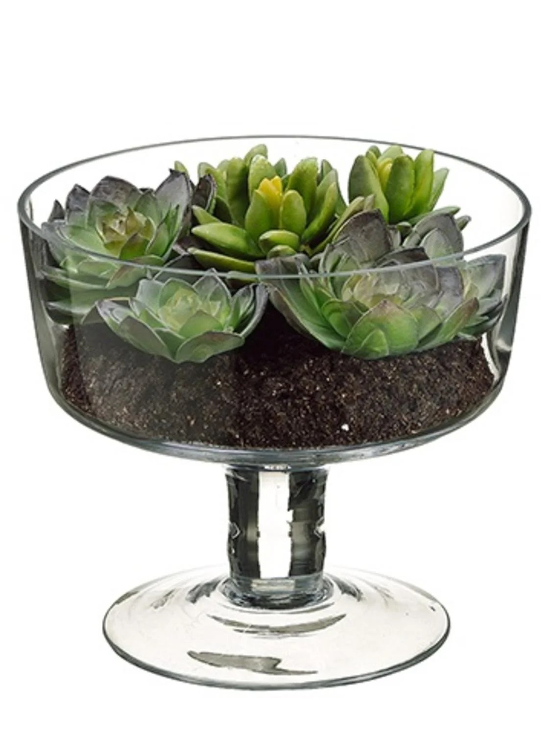 6.75" Artificial Spring Succulent Garden in Decorative Clear Glass Vase