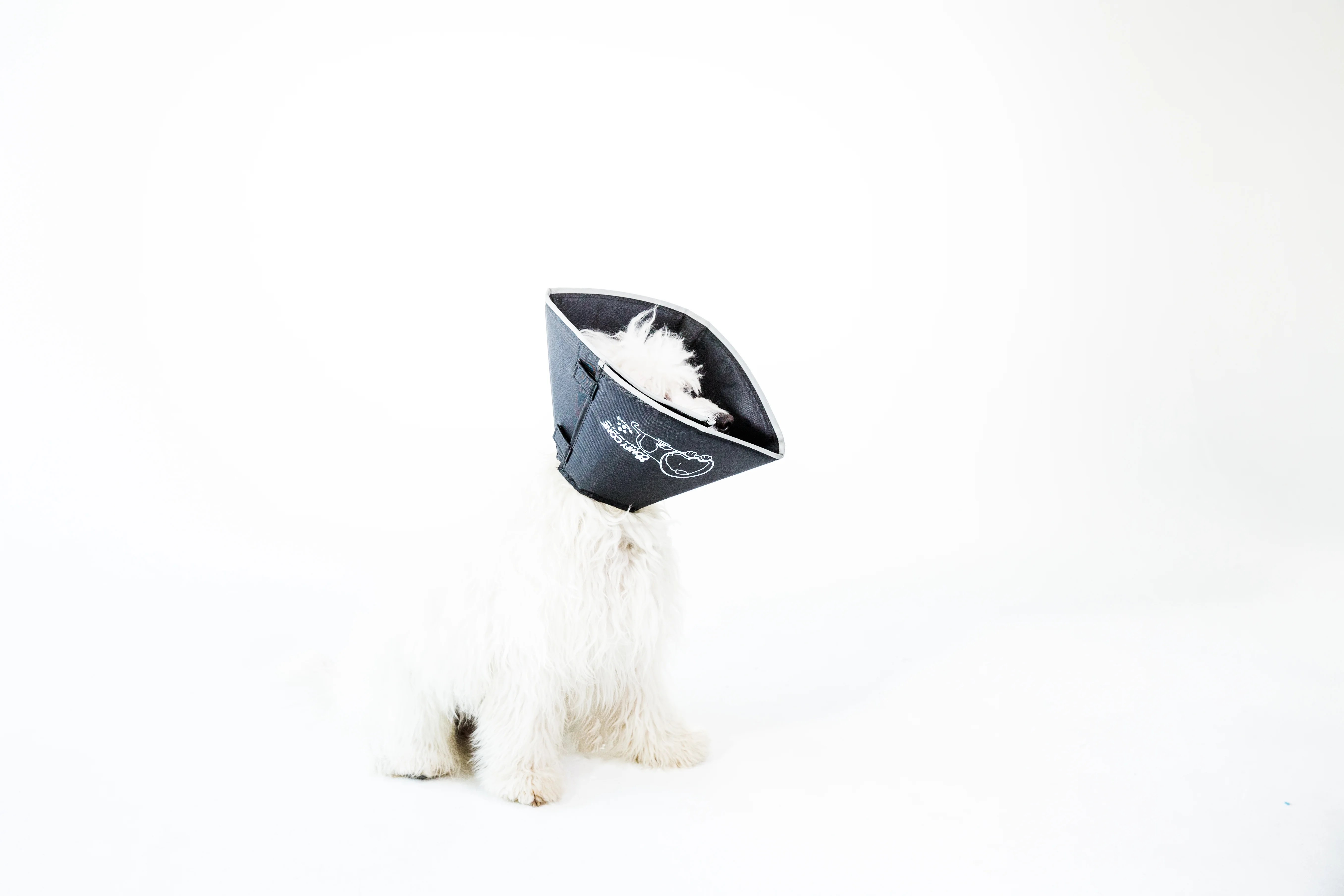 All Four Paws Black Comfy Cone Dog ECollar Dog First Aid Recovery