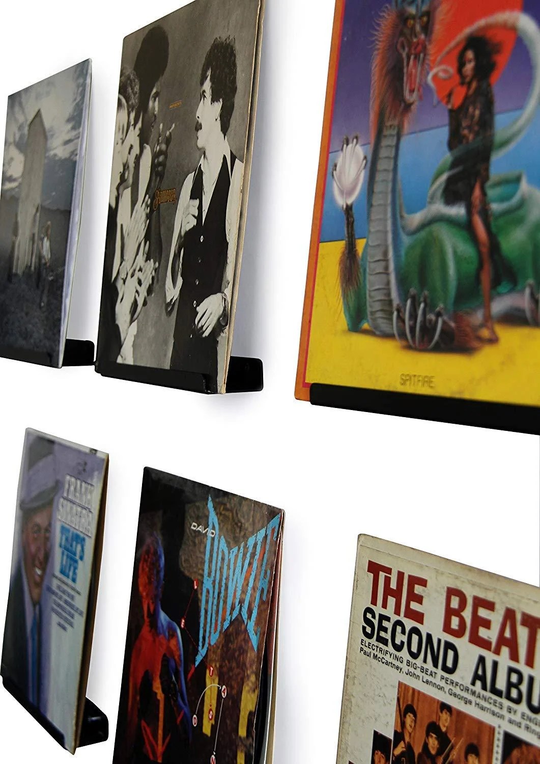 Hudson HiFi Wall Mount Vinyl Record Display Shelf Display Your