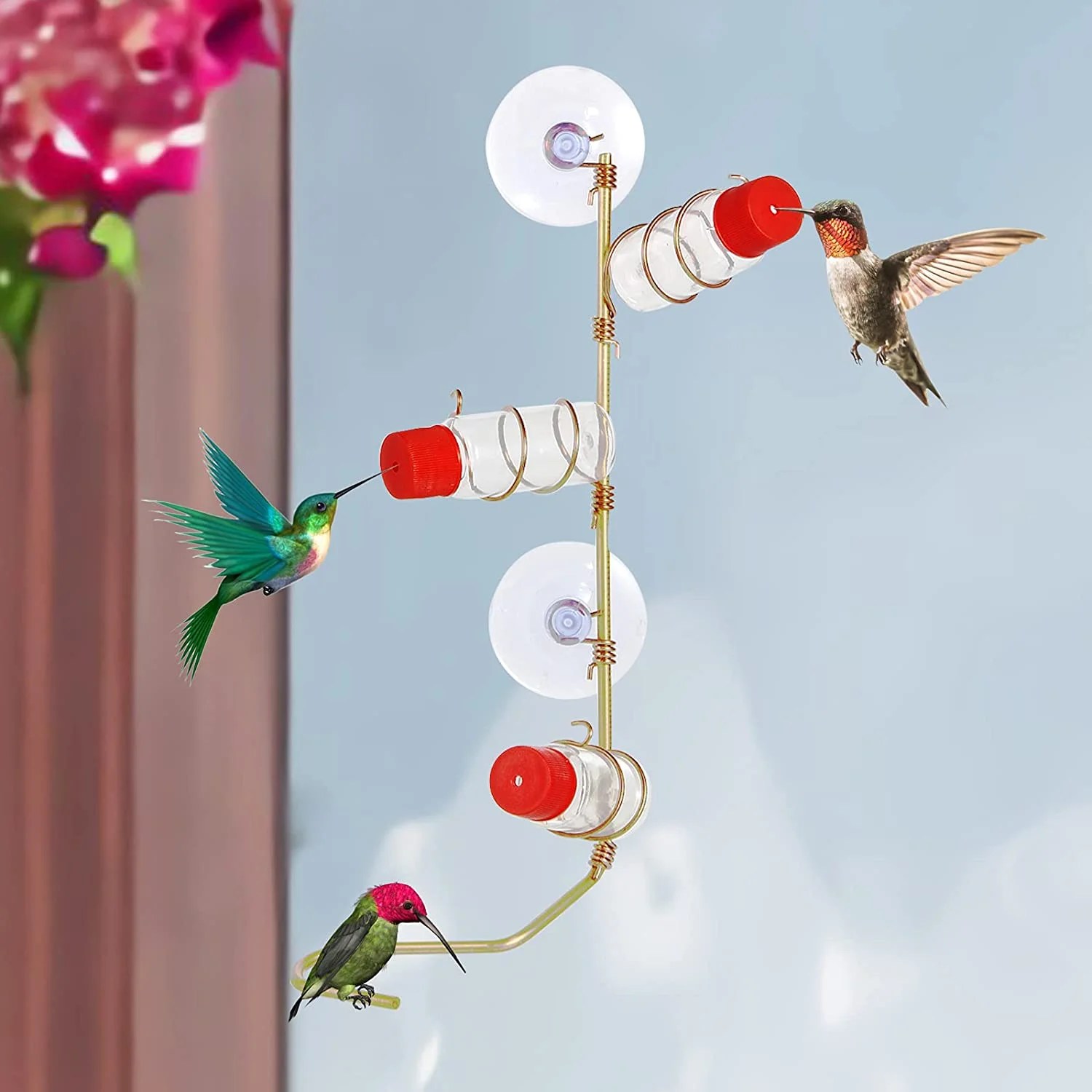 SPRING PARK Hummingbird Feeder for Outdoors, DIY Window Humming Bird